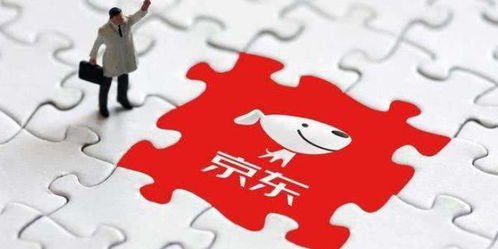 京东国际 发挥平台优势 稳外贸促进口 助推商品零售贸易高质量发展